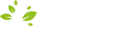 STORies logo